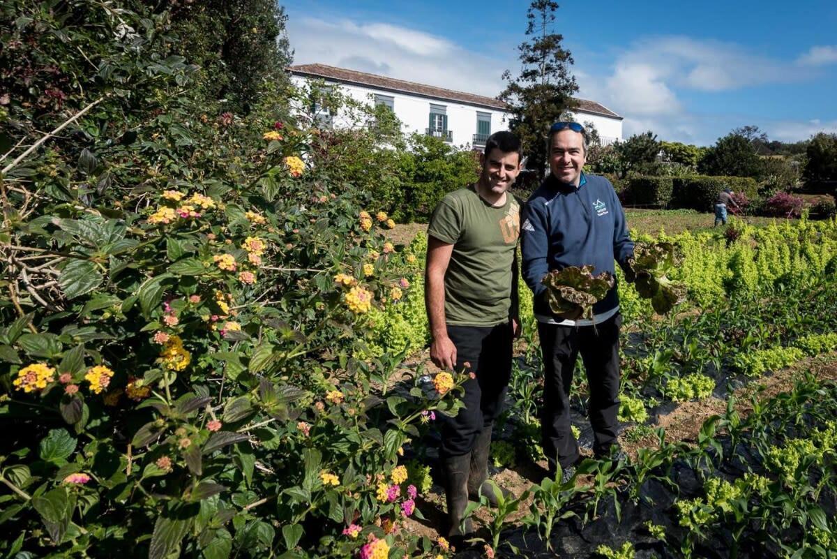 Willa Quinta Do Solar Perfect For Families Ponta Delgada Zewnętrze zdjęcie